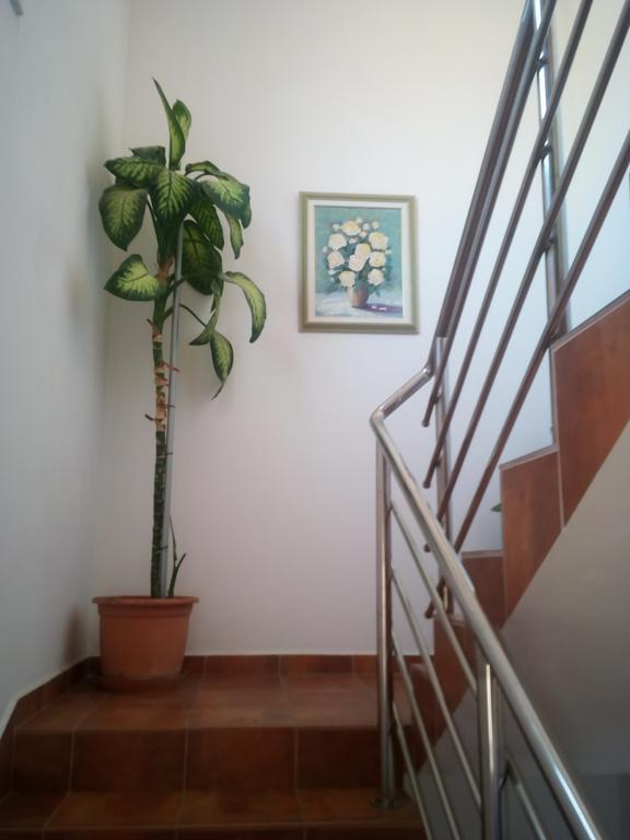 Apartmani Kapitanovic Biograd Na Moru Kültér fotó